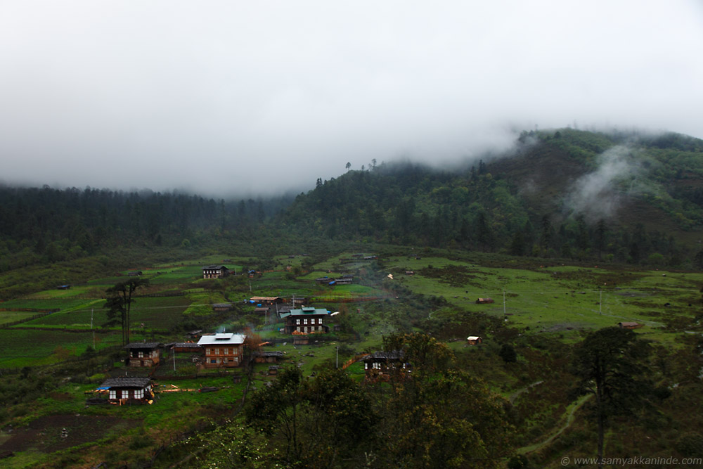 bhuta landscapes