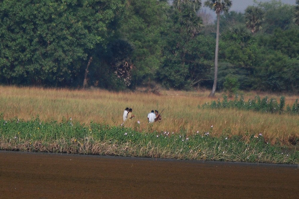 poaching at siruthavur