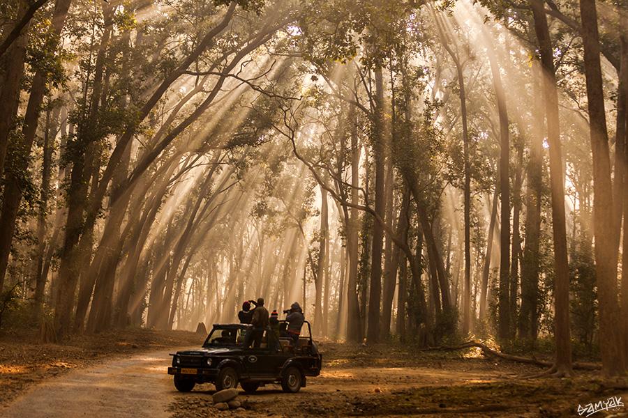 Jim Corbett Photography Tiger Safari Workshop