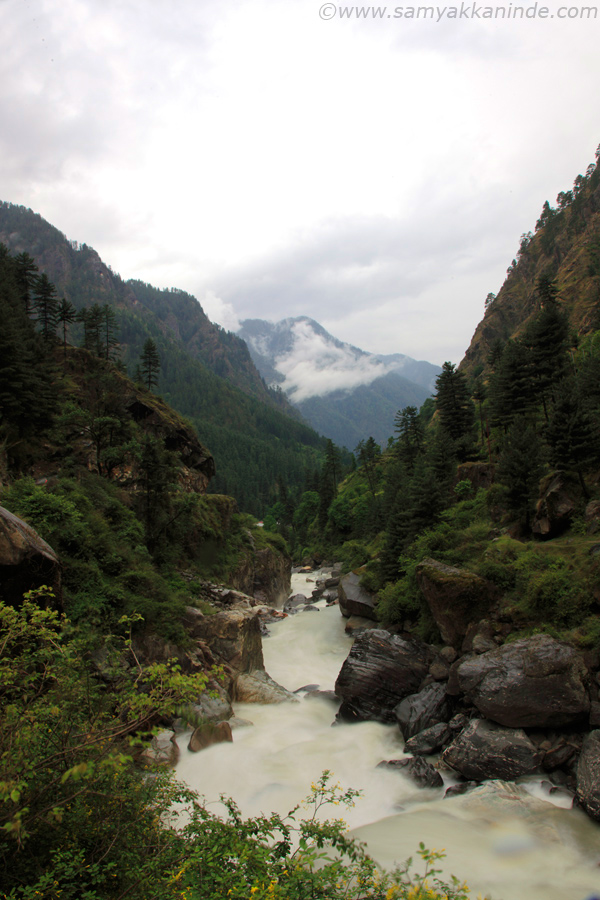 stream