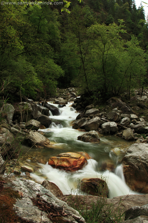 stream