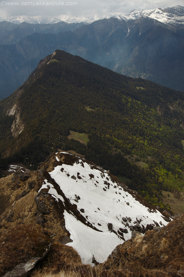 view