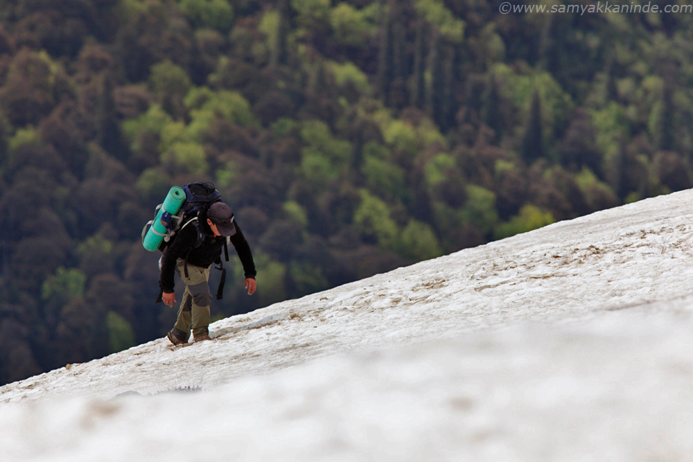 sherpa