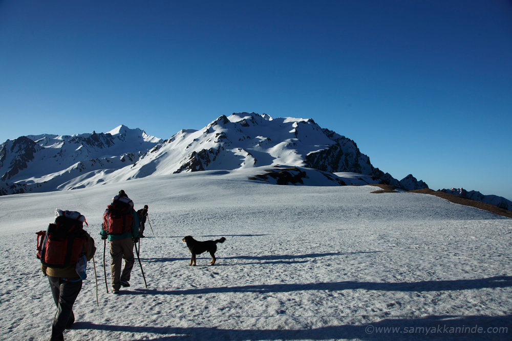 ice walk