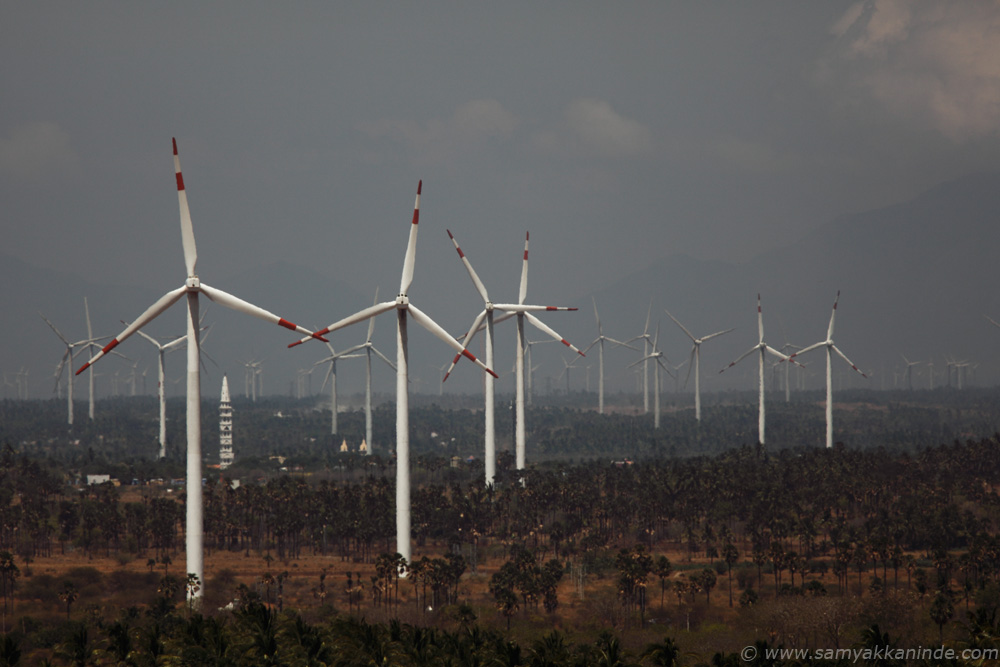 windmills