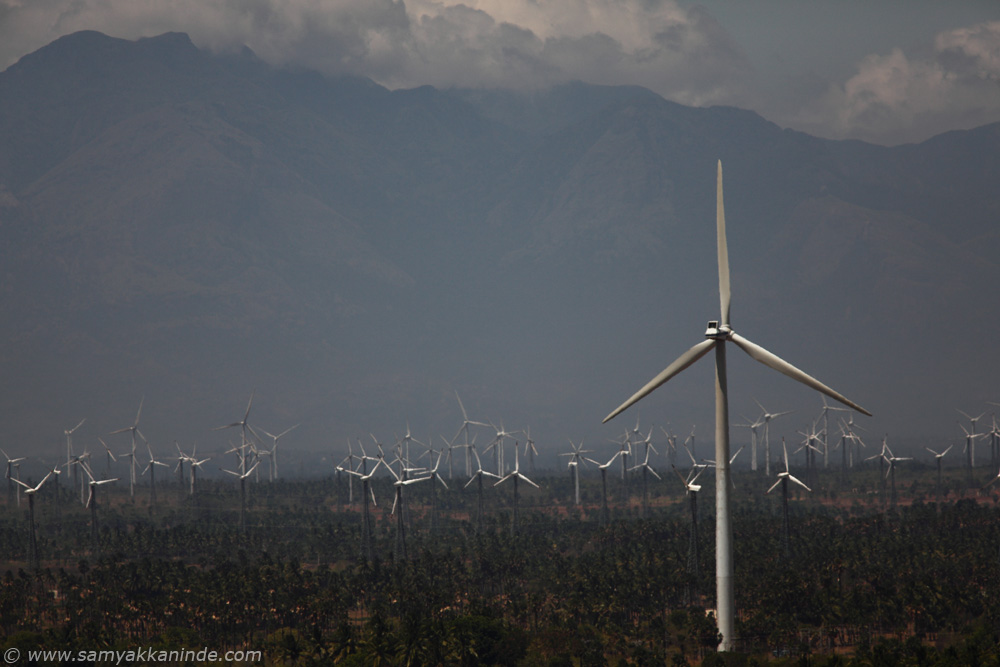 windmills