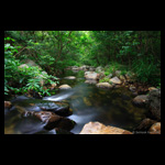 Stream in Eastern Ghats of India fine art prints India