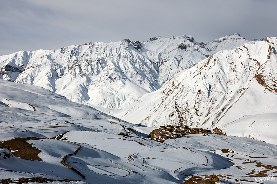 Himalaya Snow Leopard Wildlife Photography Expedition