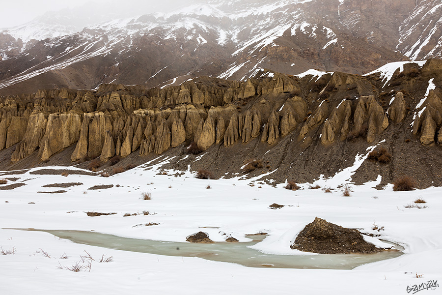 Himalaya Snow Leopard Wildlife Photography Expedition