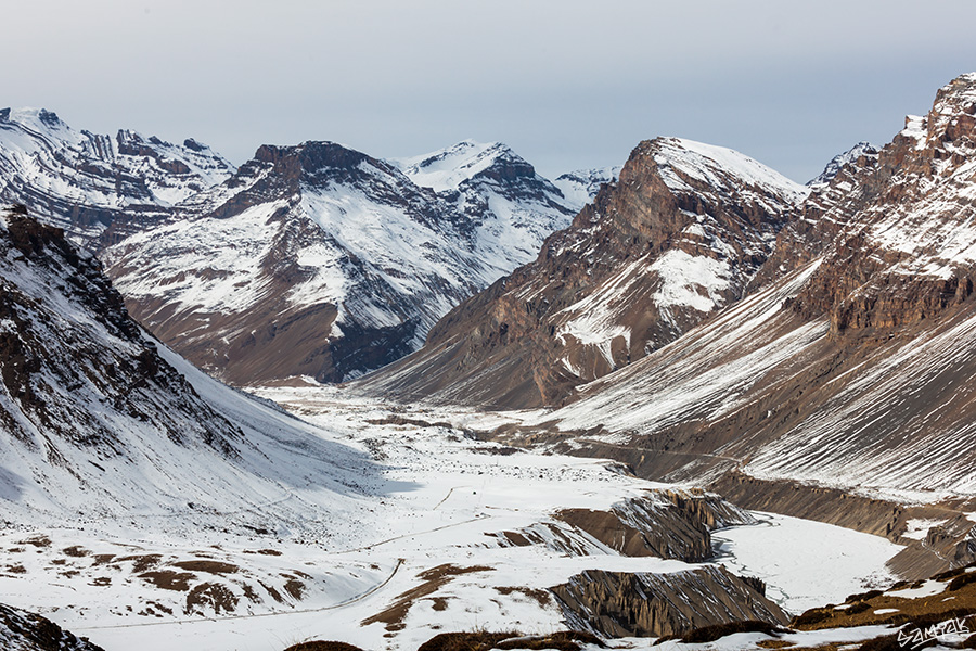 Himalaya Snow Leopard Wildlife Photography Expedition